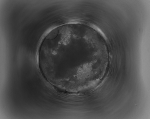 X0000100491419200806131241