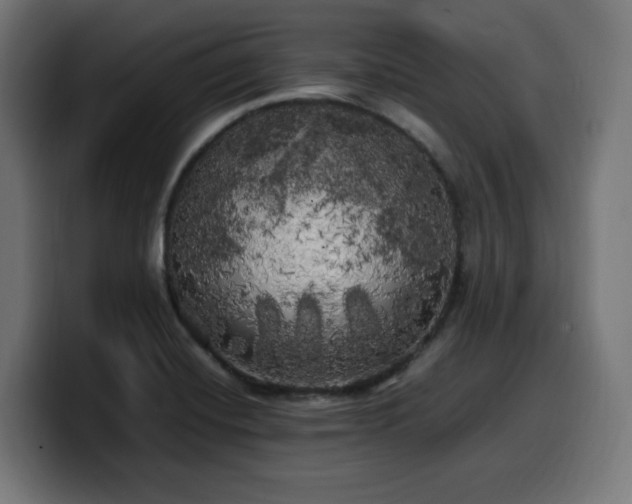 X0000100491420200806131241