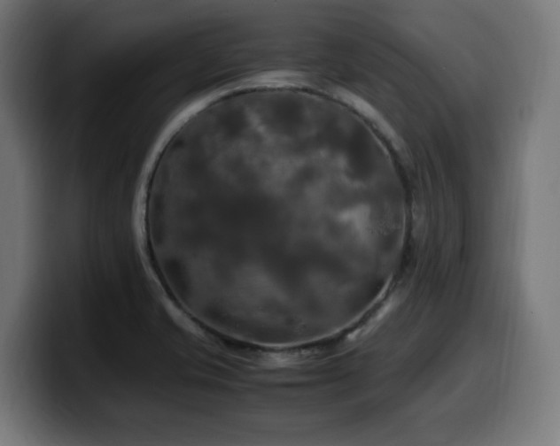 X0000100491421200806131241