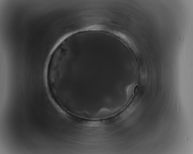 X0000100491422200806131241