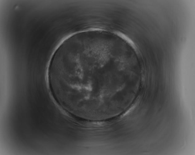 X0000100491423200806131241