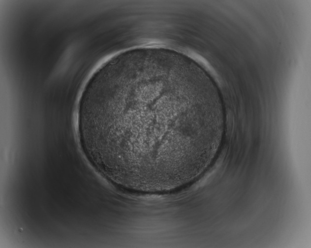 X0000100491424200806131241