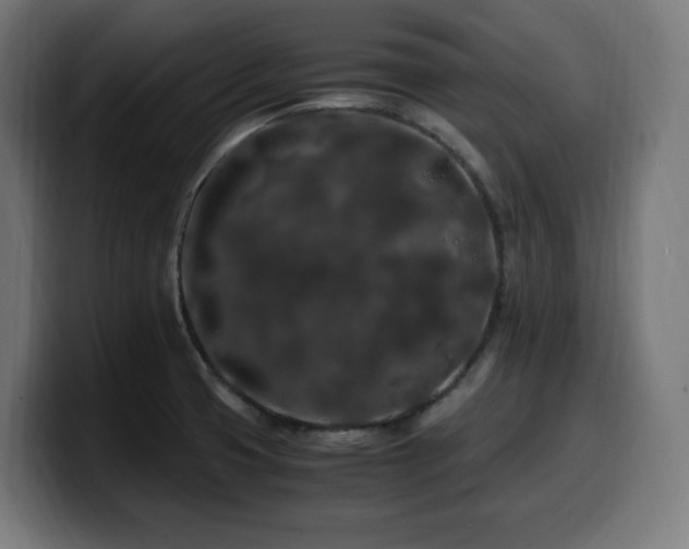 X0000100491425200806131241