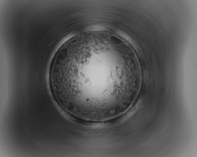 X0000100491426200806131241