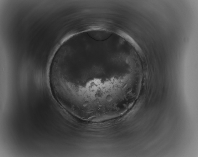 X0000100491427200806131241
