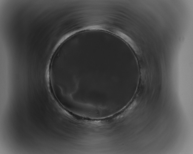 X0000100491428200806131241