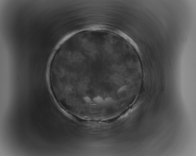 X0000100491429200806131241