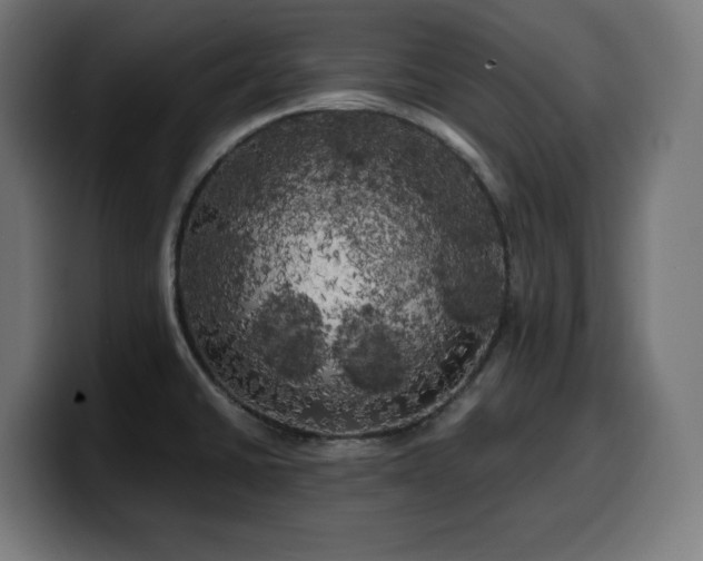 X0000100491430200806131241