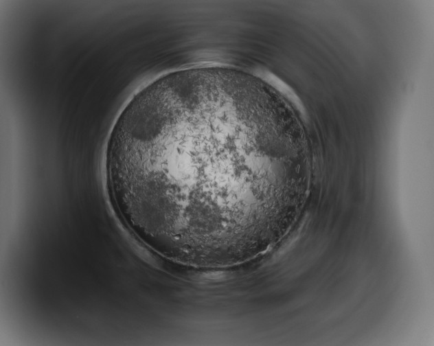 X0000100491431200806131241