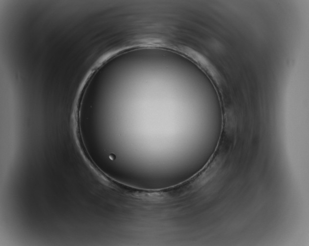 X0000100491432200806131241