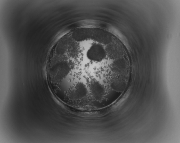 X0000100491433200806131241