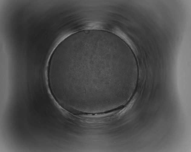 X0000100491434200806131241