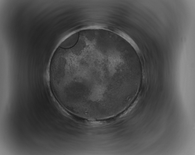 X0000100491436200806131241