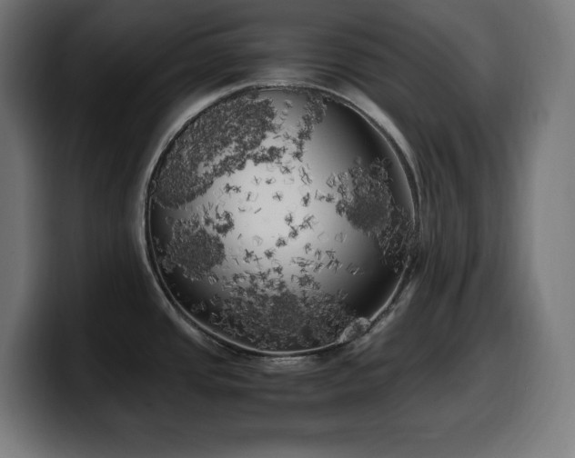X0000100491437200806131241