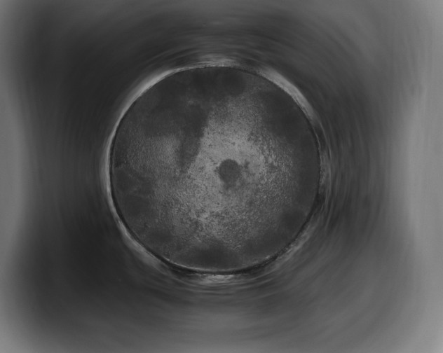 X0000100491439200806131241