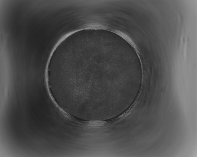 X0000100491440200806131241