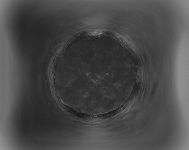 X0000100491441200806131240