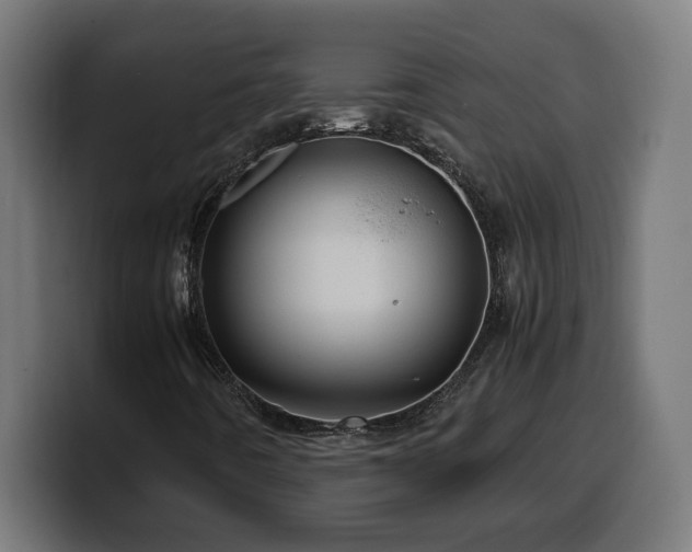 X0000100491442200806131240