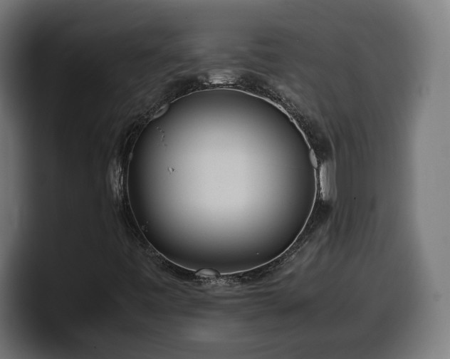 X0000100491443200806131240