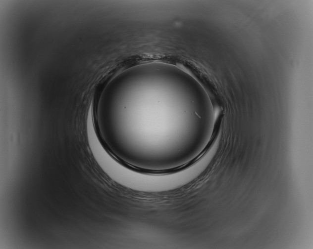 X0000100491444200806131240