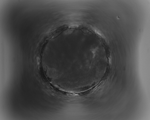 X0000100491445200806131240