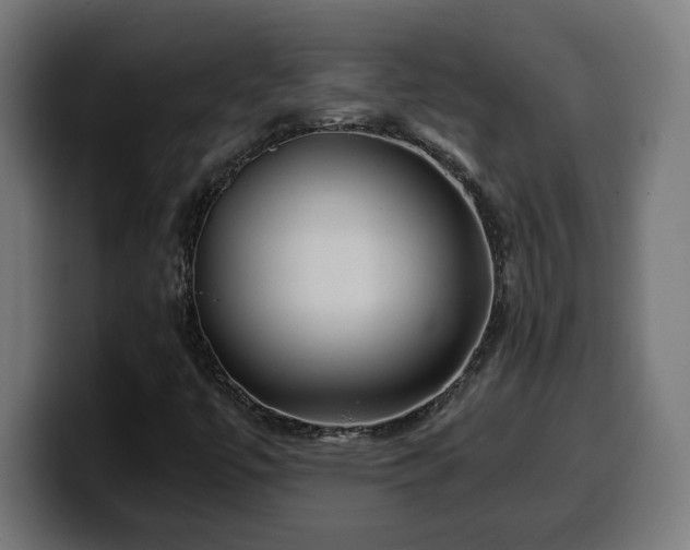 X0000100491447200806131240