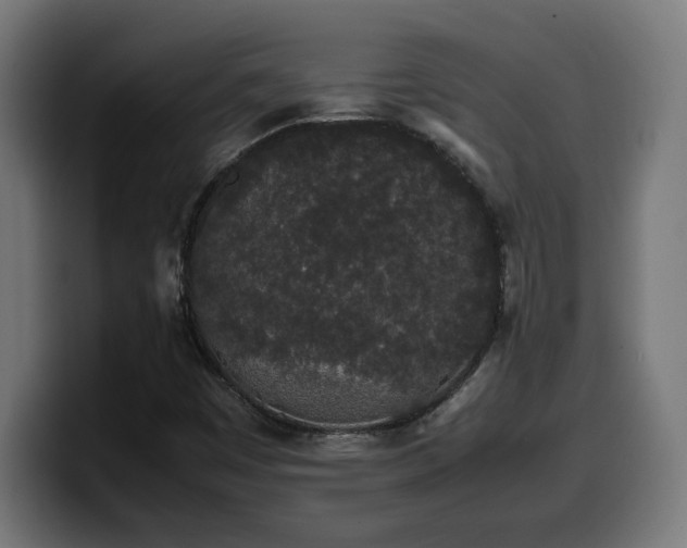 X0000100491449200806131240