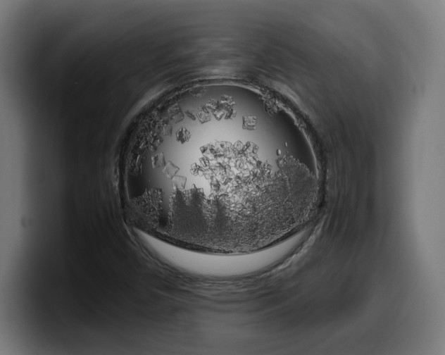 X0000100491450200806131240