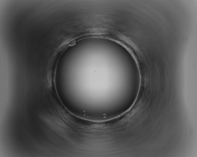 X0000100491451200806131240