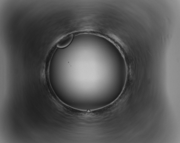 X0000100491452200806131240