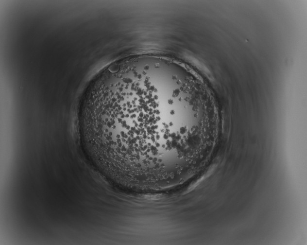 X0000100491453200806131240