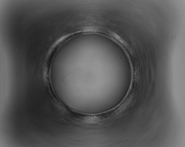 X0000100491454200806131240