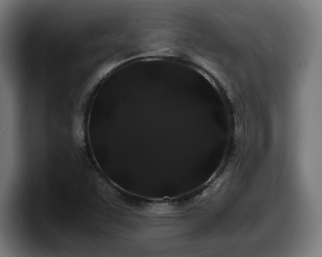 X0000100491455200806131240