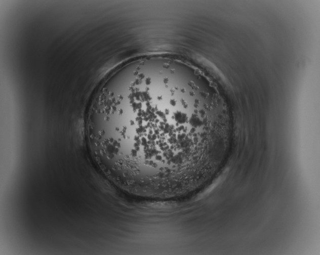 X0000100491457200806131240
