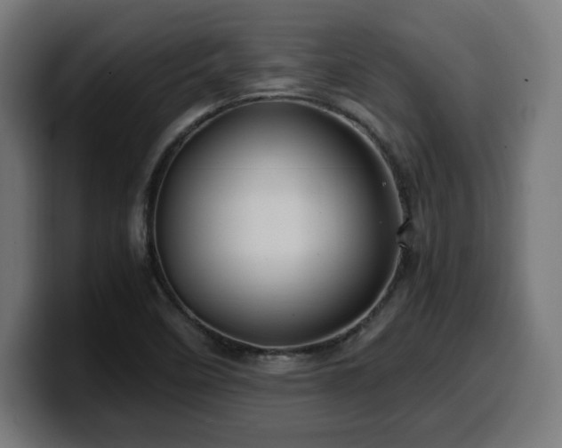 X0000100491458200806131240