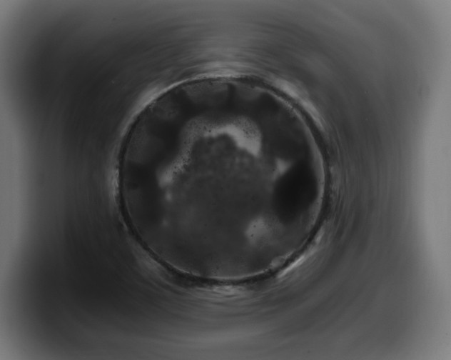 X0000100491459200806131240