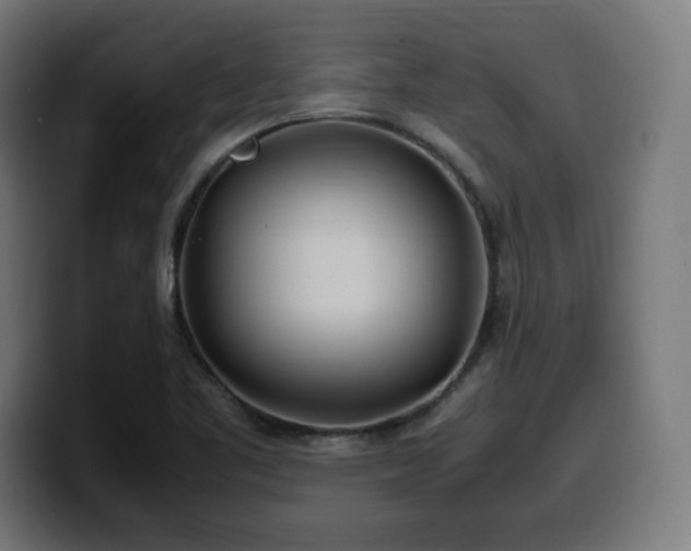 X0000100491461200806131240