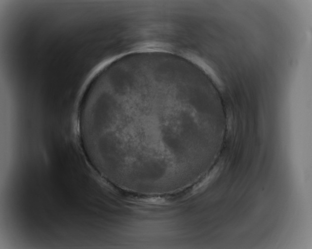 X0000100491462200806131240