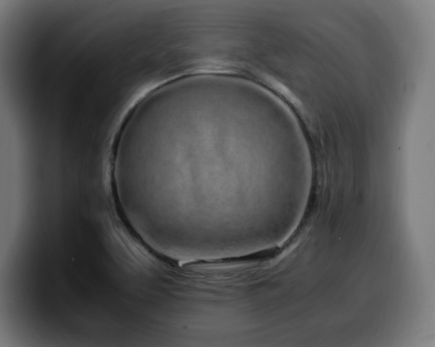 X0000100491463200806131240