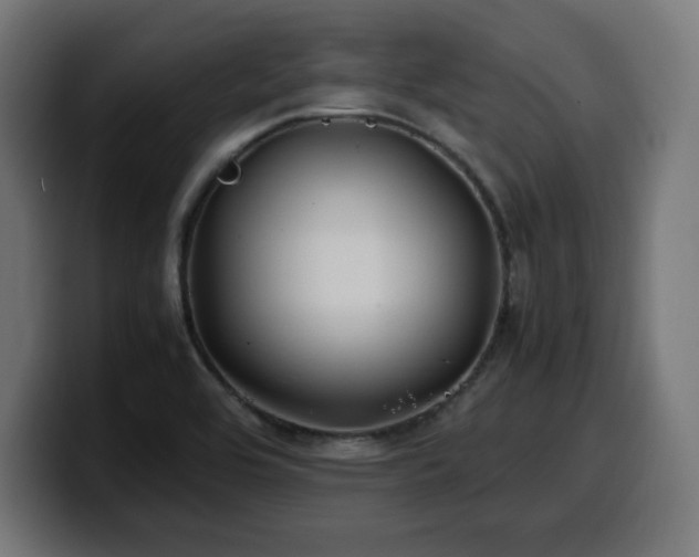 X0000100491464200806131240