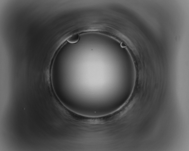 X0000100491465200806131240