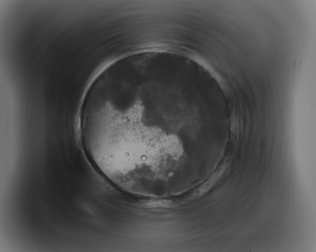 X0000100491466200806131240