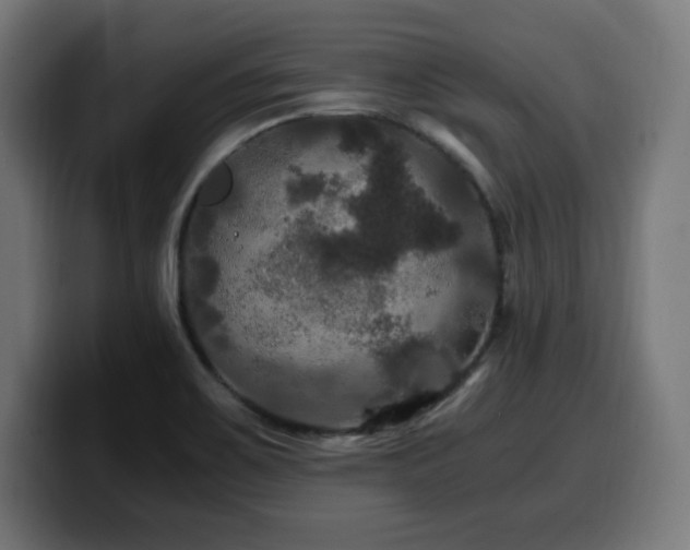 X0000100491467200806131240
