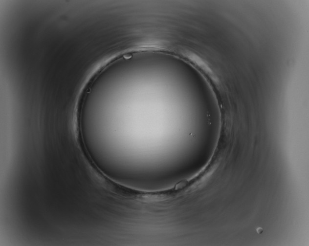 X0000100491469200806131240