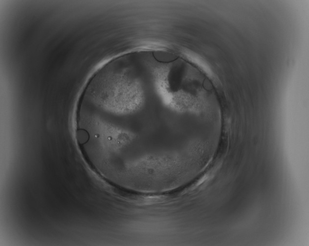 X0000100491471200806131240