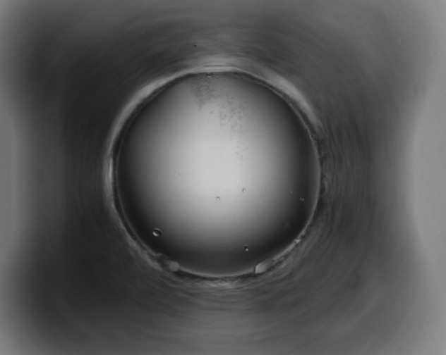 X0000100491472200806131240