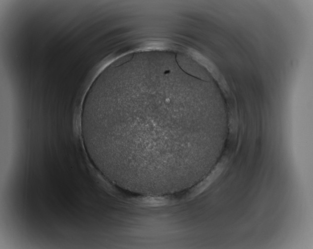X0000100491473200806131240