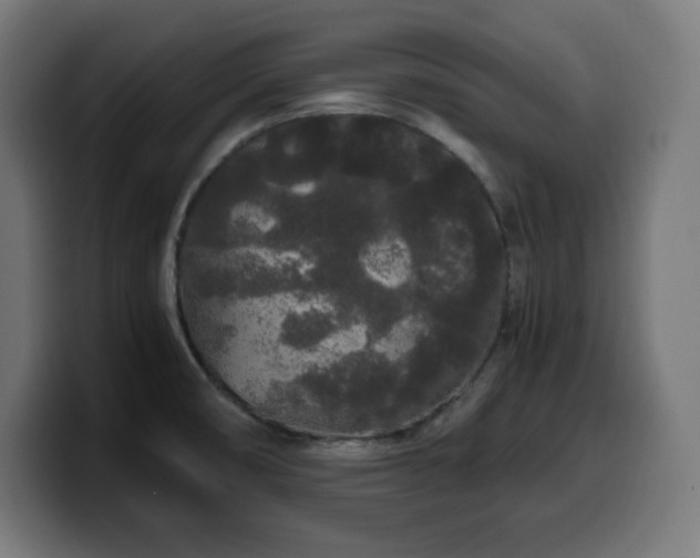 X0000100491474200806131240