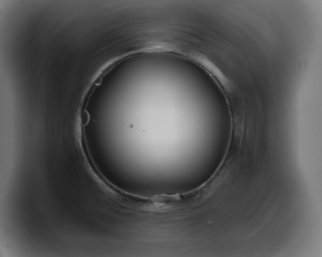 X0000100491476200806131240