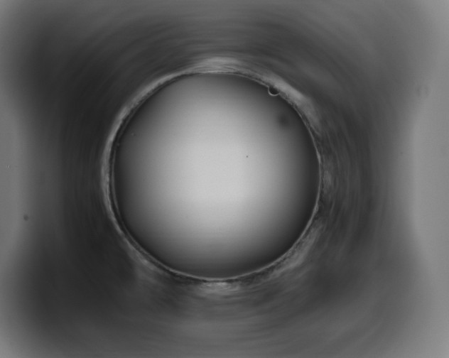 X0000100491478200806131240